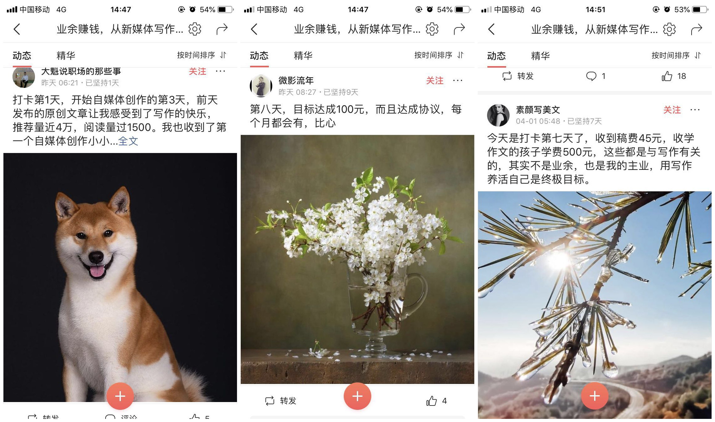 写作赚1000元,写作收益怎么赚