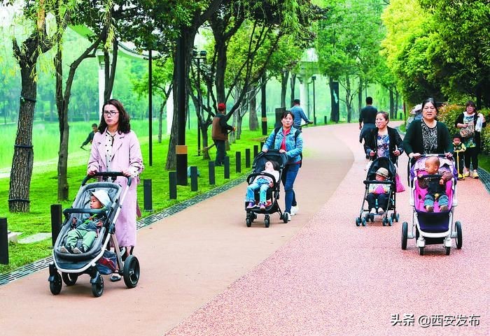 西安是最具有幸福感的城市,西安最具幸福感的区