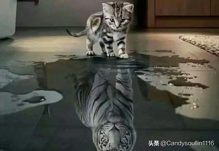 解密英语语境记忆答案,英语阅读理解单词记忆技巧