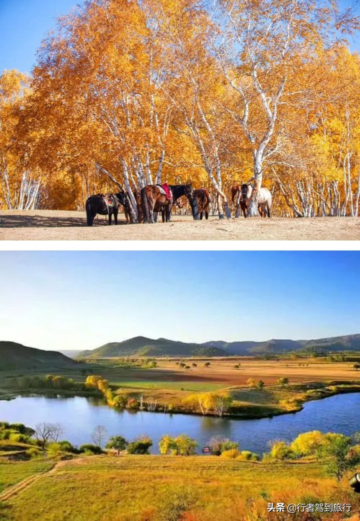 冬季克旗旅游自驾游攻略,克什克腾旗看秋色攻略