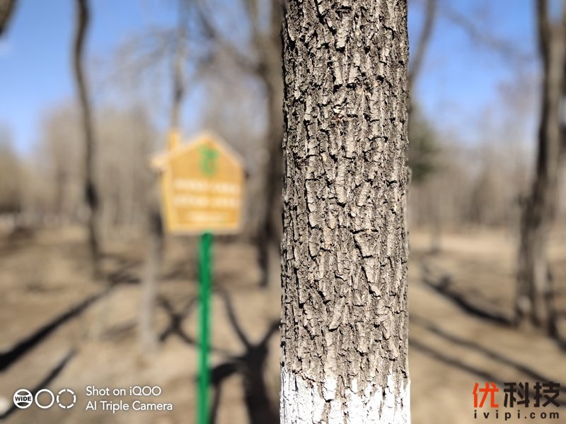 iqoo手机性能发挥到极致,最值得买的全新iqoo手机