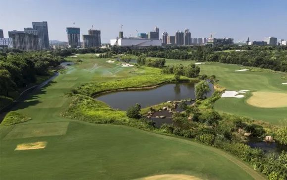 第七届世界军人运动会武汉武警,第七届军人运动会在武汉举办