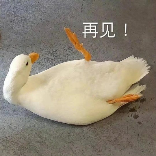 东京奥运会游戏steam梦幻竞速,东京奥运会联动游戏