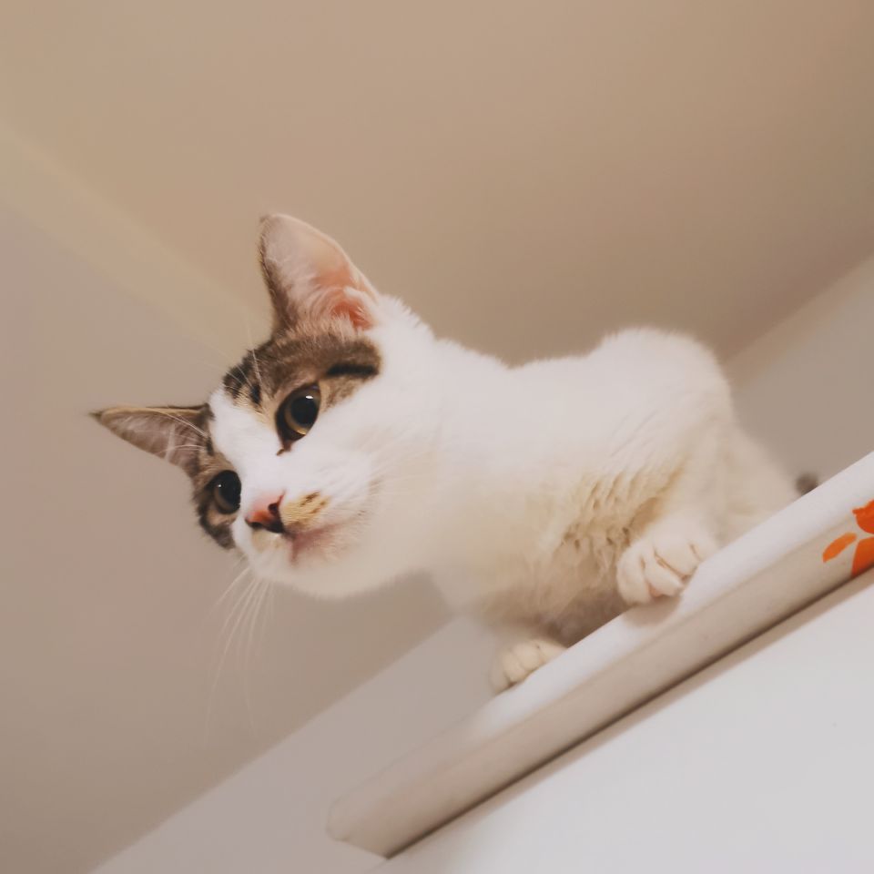 初三最后一个情人节,很难忘的一个情人节