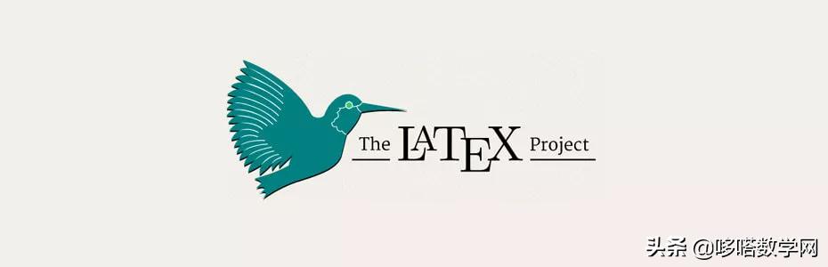 从零开始学习文字编辑,从零开始学习的优秀作文