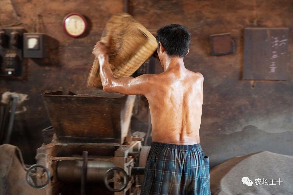 回农村小本创业,农村冷门小本创业生意