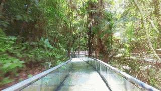 最近昆明有没有最值得去玩景点,推荐昆明最适合去玩的地方