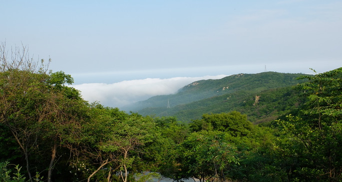上海出发沿海自驾游攻略最新,上海周边两天一夜自驾自由行攻略