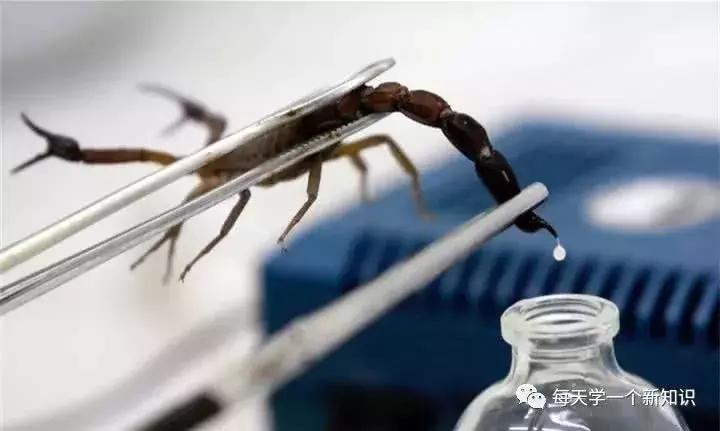 世界最畅销的冷知识,冷知识最贵淡水鱼