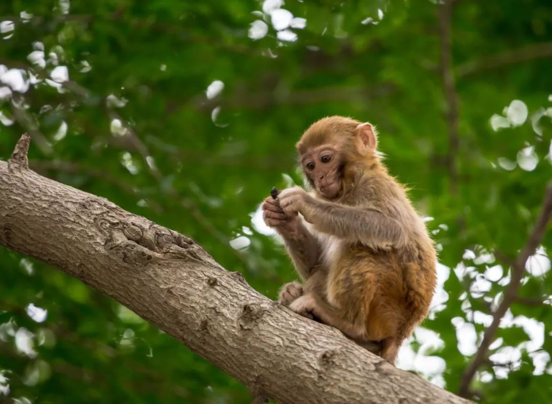 醉美海滨,江苏美食多的旅游城市排名
