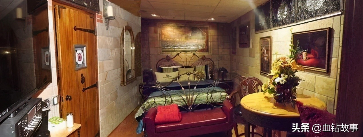 大洋彼岸的“子宫掠夺者”