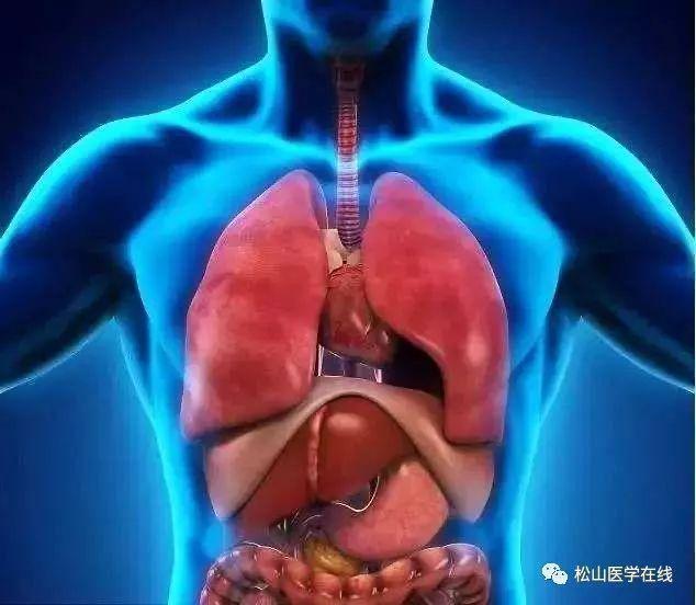 钱学森中医经典语录,钱学森说西医是中医的初级阶段