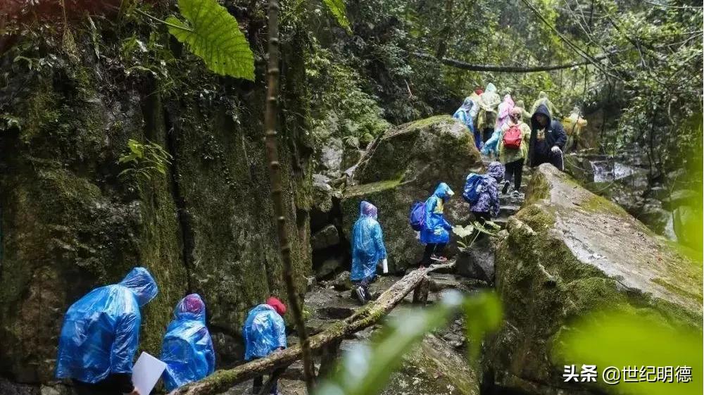 《观明德》|“研”传深“教”，让教育发光