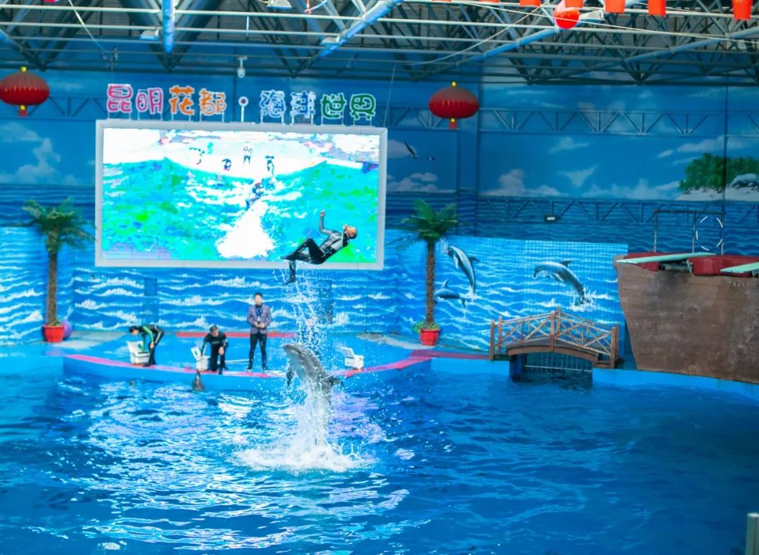 鏄嗘槑钀屽疇鍔ㄧ墿涓婚涔愬洯,鏄嗘槑瀹ゅ唴钀屽疇涔愬洯