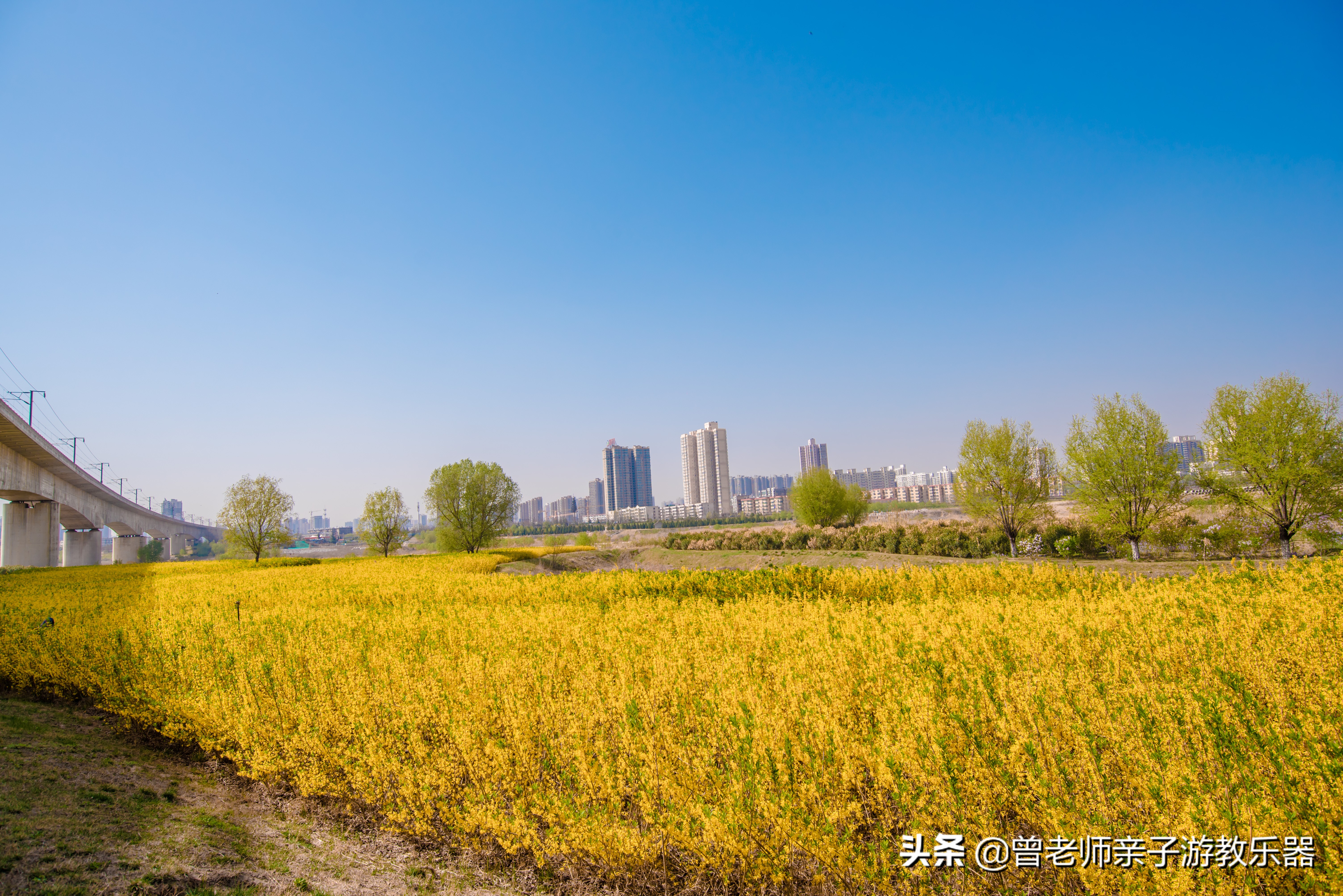 2022西安遛娃一日游的绝佳去处,2022年春节西安遛娃去哪玩最合适