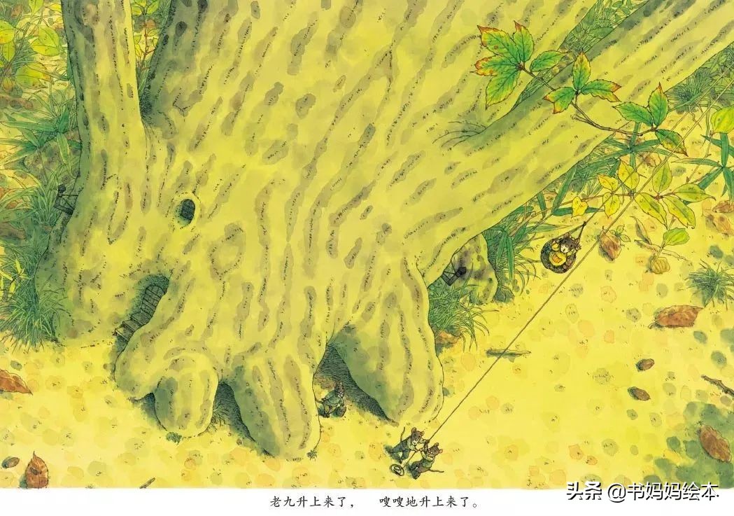 有关中秋节的绘本月亮的味道,中秋节的晚上我想对月亮许愿绘本