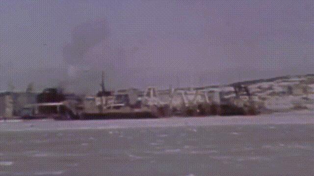 蛏子与小人蚬的区别,贻贝蛤蜊有什么区别