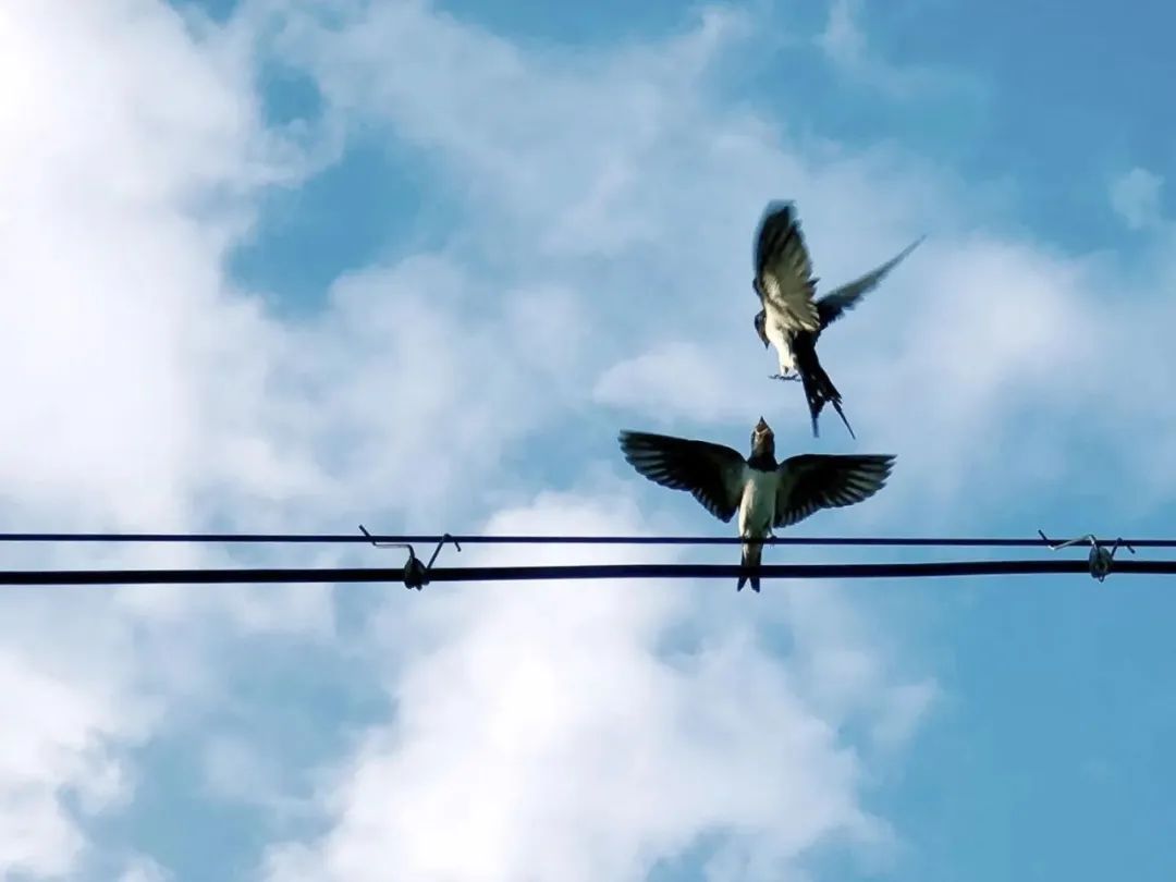 大家用手机拍出过什么好看的照片,赞别人的照片拍摄得好的句子