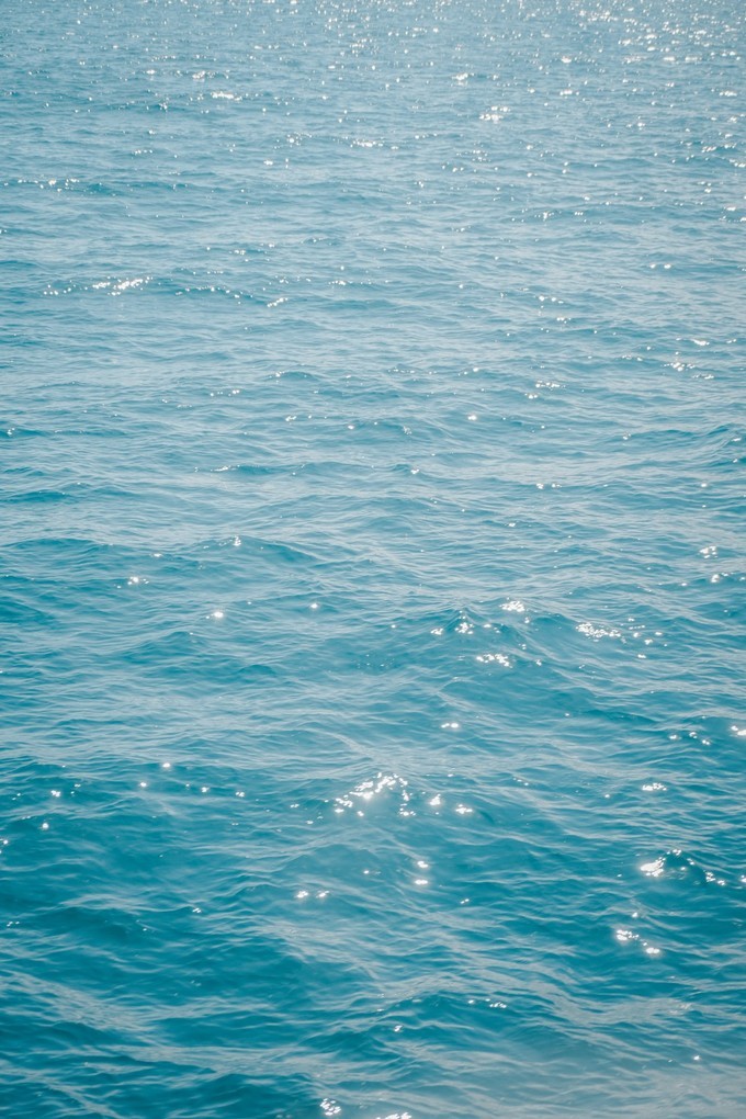 澳洲观鲸攻略,澳洲观鲸之旅