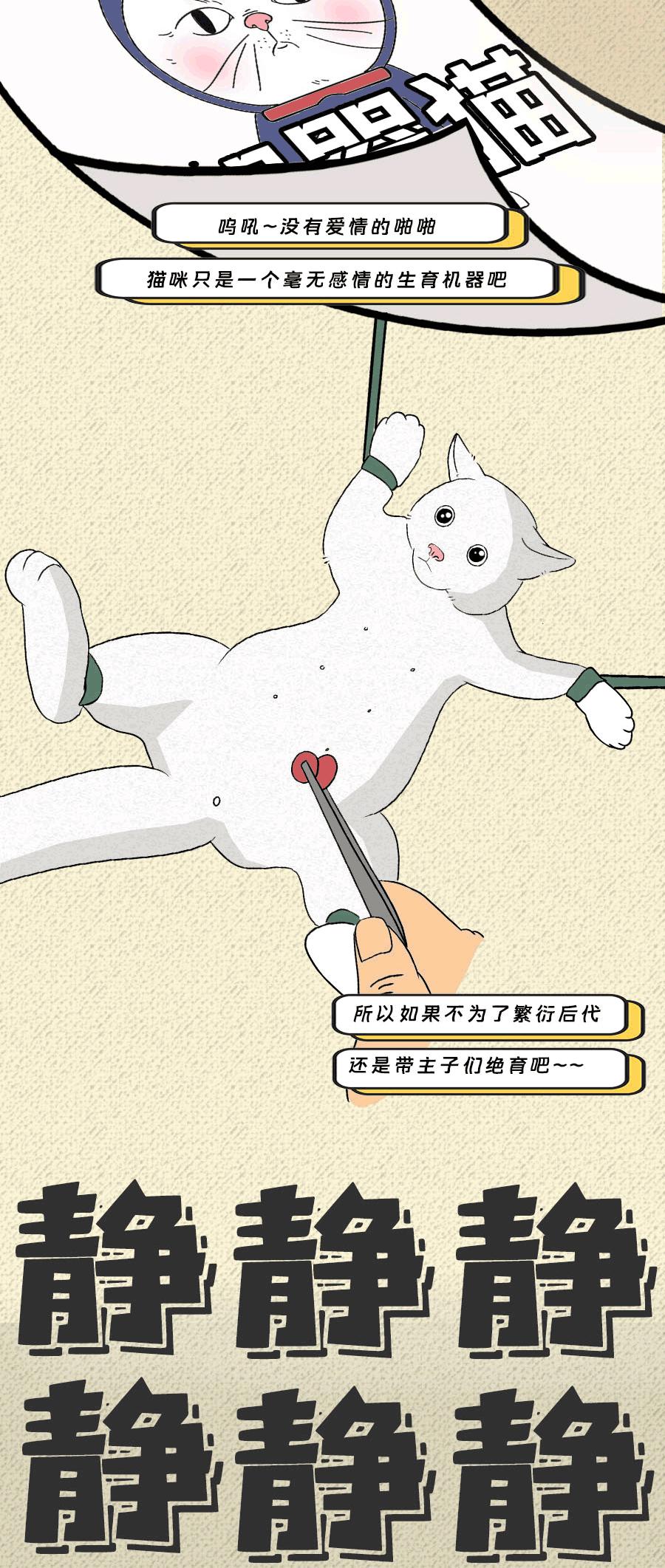 那些羞羞的事：动物是如何啪啪啪的？