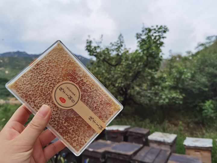 新西兰康维他蜂蜜功效,为什么新西兰的蜂蜜这么贵