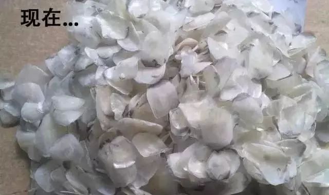 没学历在上海干什么可以挣15000,月薪不足5000的看过来