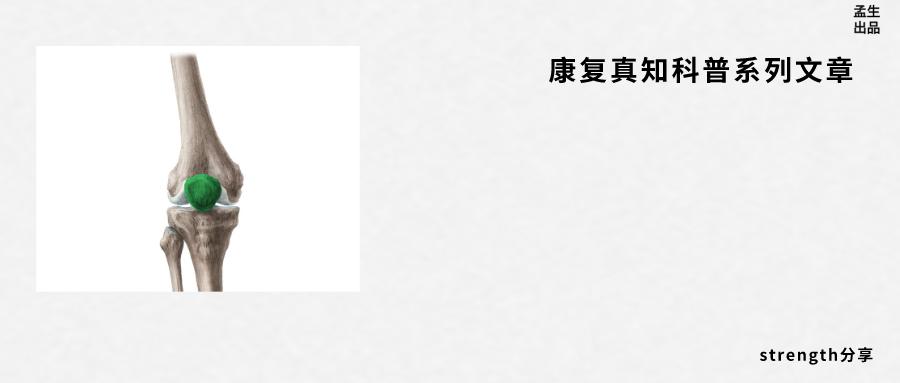 恶名昭彰小说,恶名昭著劳伦斯