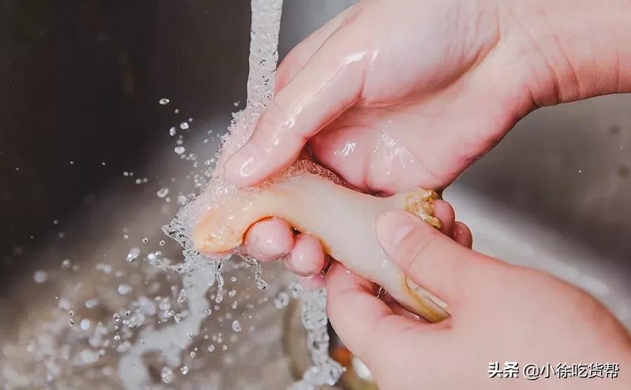 象拔蚌刺身教学,象拔蚌刺身摆盘