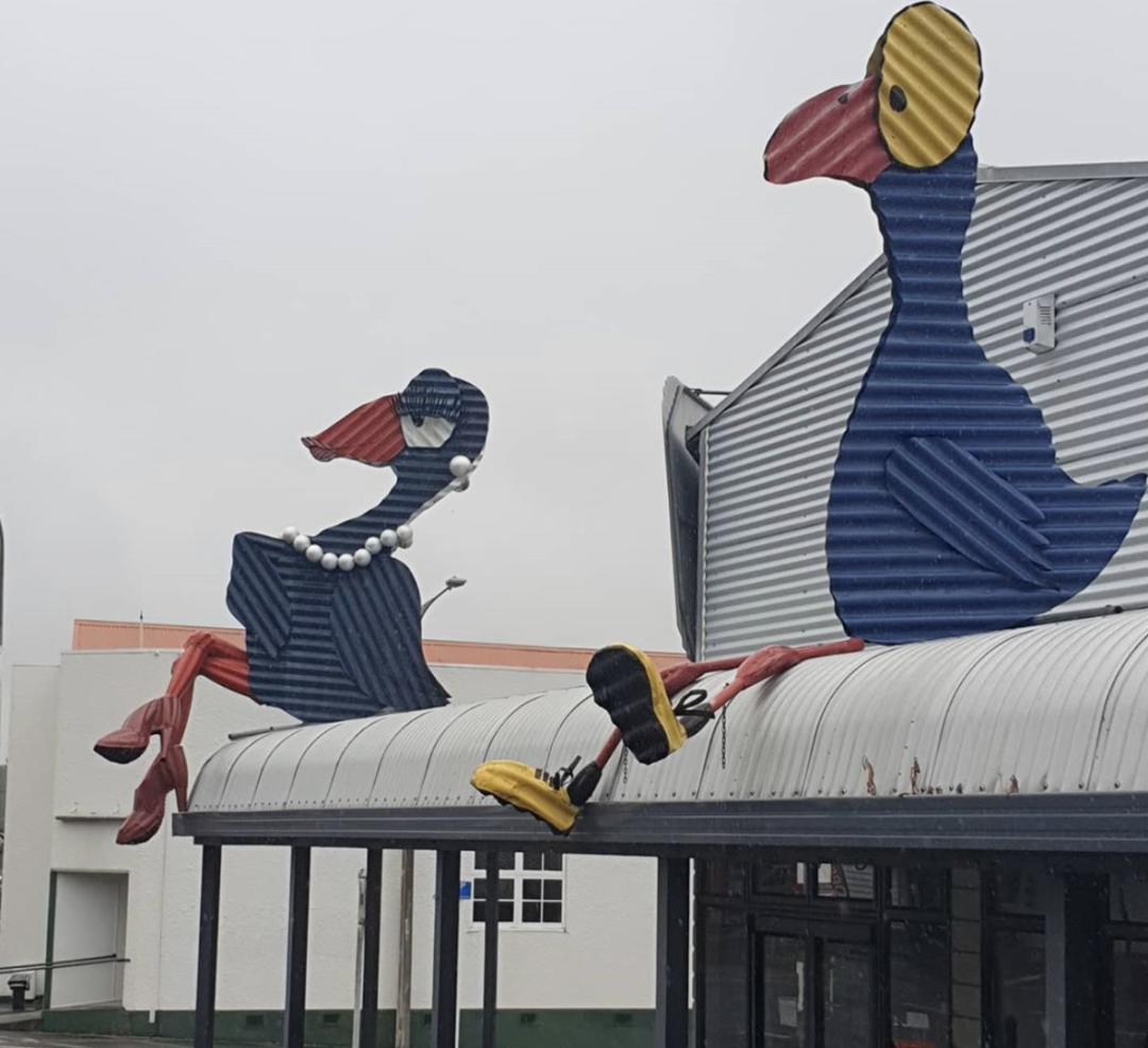 看了就想养的宠物,看了就想抱的宠物