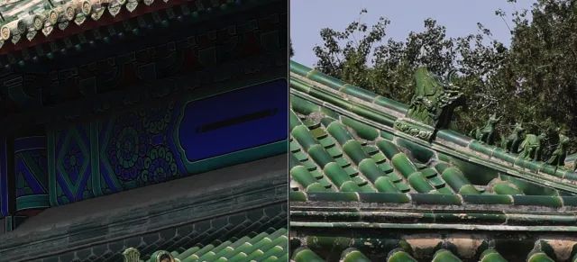 佳能rf100-500mm镜头拍鸟,佳能长焦相机100倍