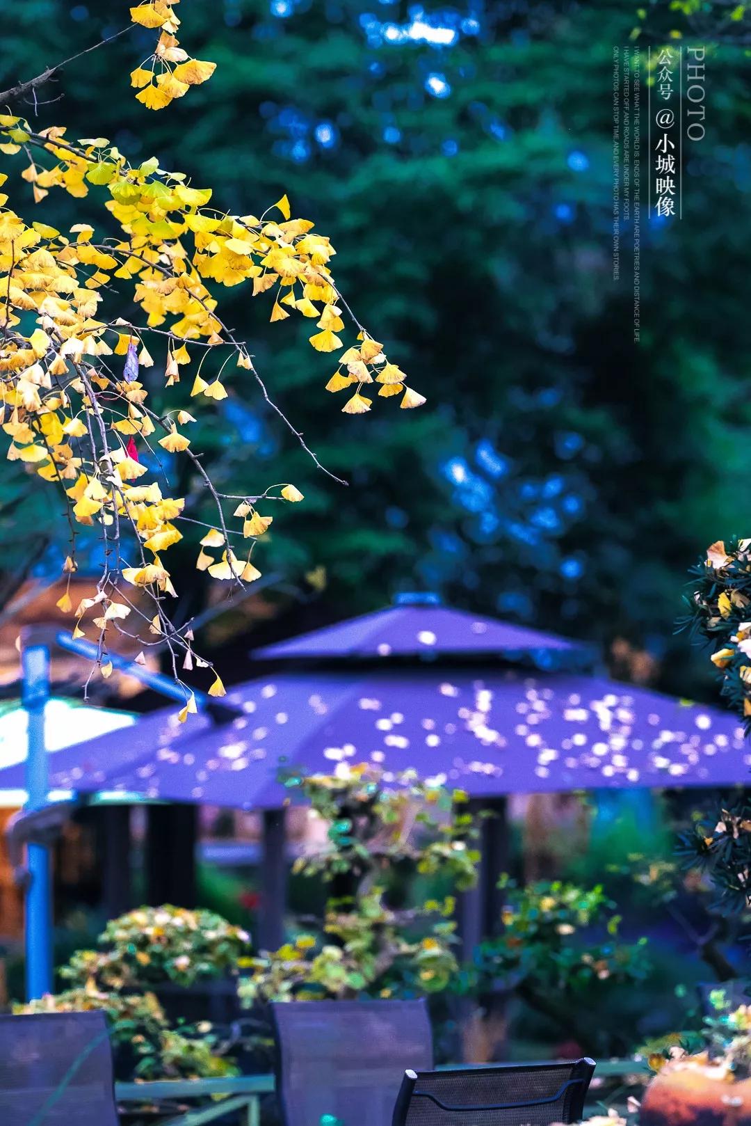 郫县是怎么发展起来的,郫县区为什么这么出名