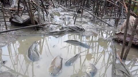 赌博：他先赢回一个媳妇，后输掉一个孙子，最后变成一人独守空房