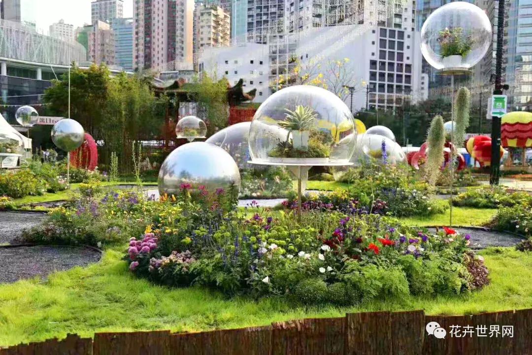 香港花卉艺术展,共赴盛会活动