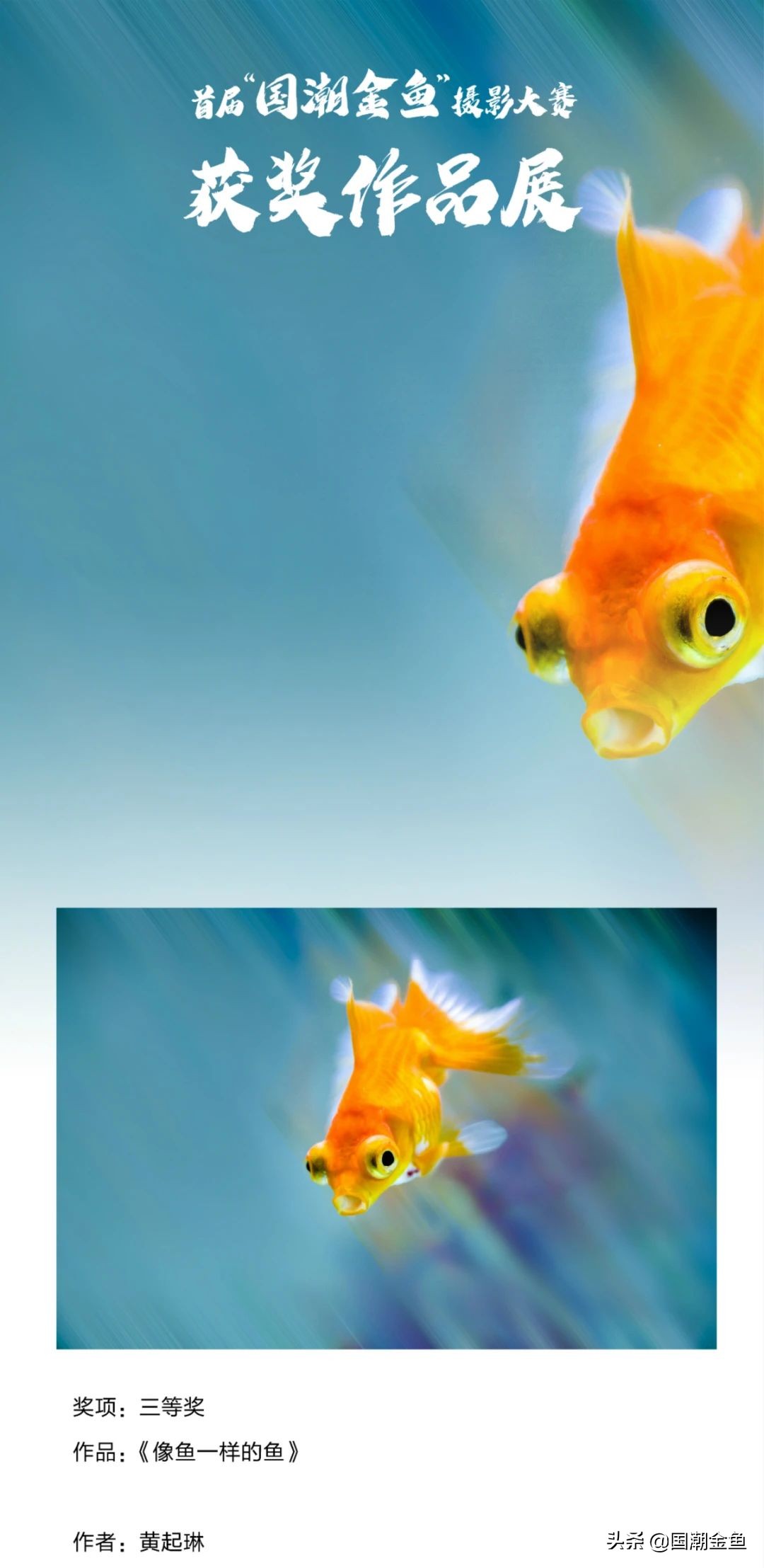 鍥芥疆閲戦奔鎽勫奖,涓浗閲戦奔鎽勫奖