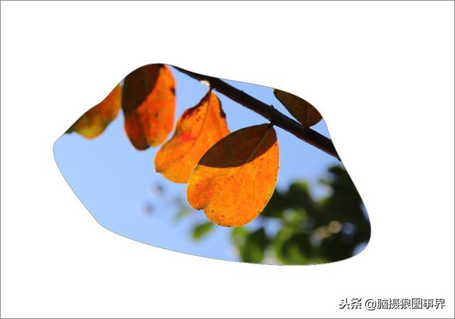 ps中的四类蒙版怎样应用,photoshop中如何添加蒙版