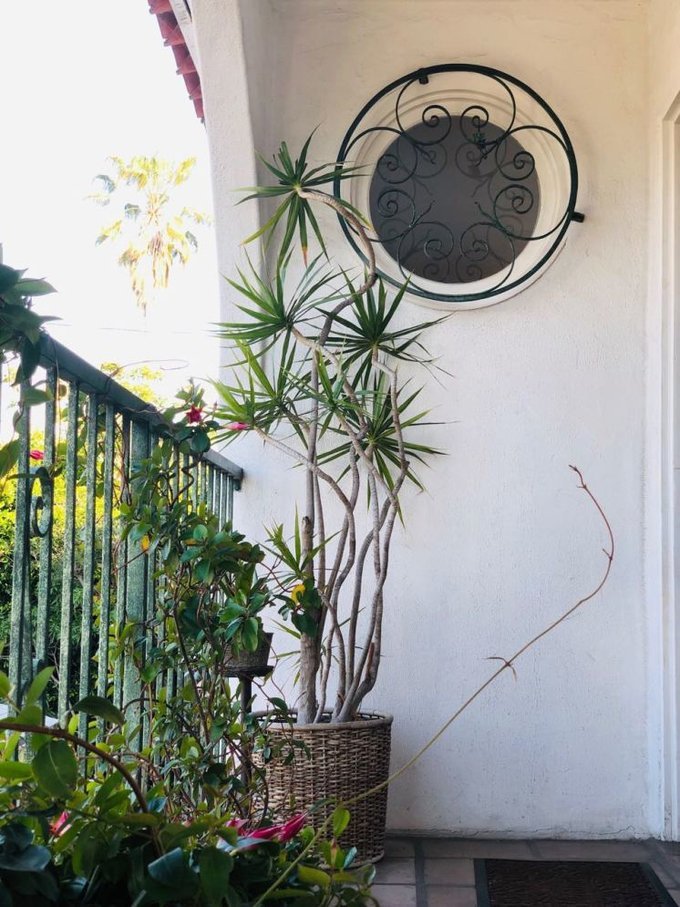 美国自由行加州洛杉矶之旅,美国洛杉矶20天旅游线路