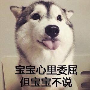 狗狗腹泻拉血呕吐是什么病,狗狗腹泻都导致抽搐吗