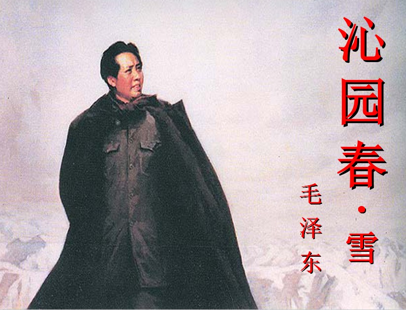 天天古诗词|近代,毛*东泽**《*园春沁**·雪》
