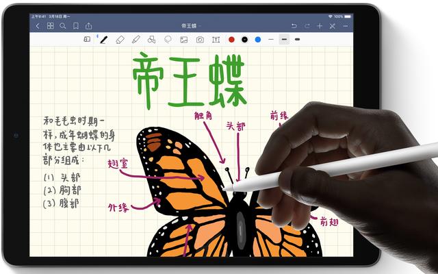ipad2018和ipadmini5,ipad2018provsipad9
