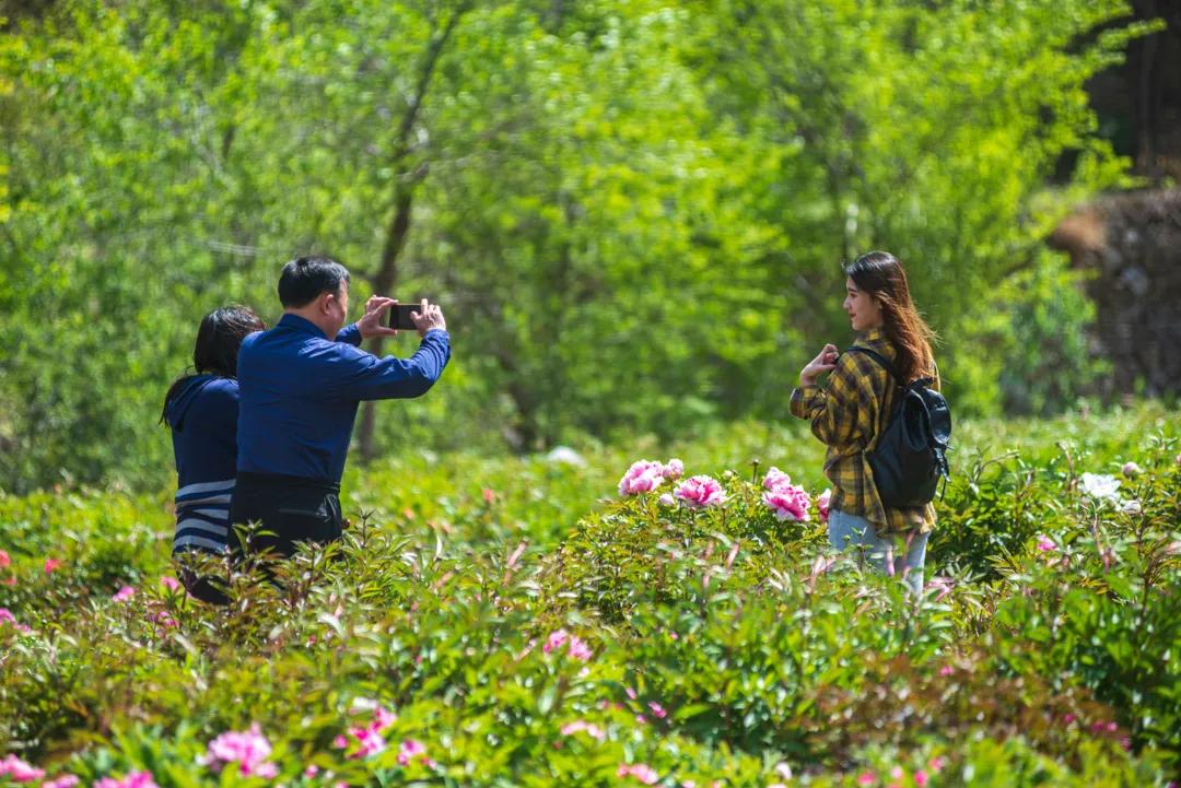 挡不住的惬意！来博山这个私藏胜地，带你过向往的生活