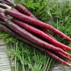 大年初一一定要摆的水果寓意好,进家买什么水果吉利