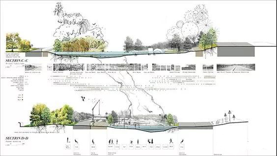 地被植物怎样养护,地被植物怎么种