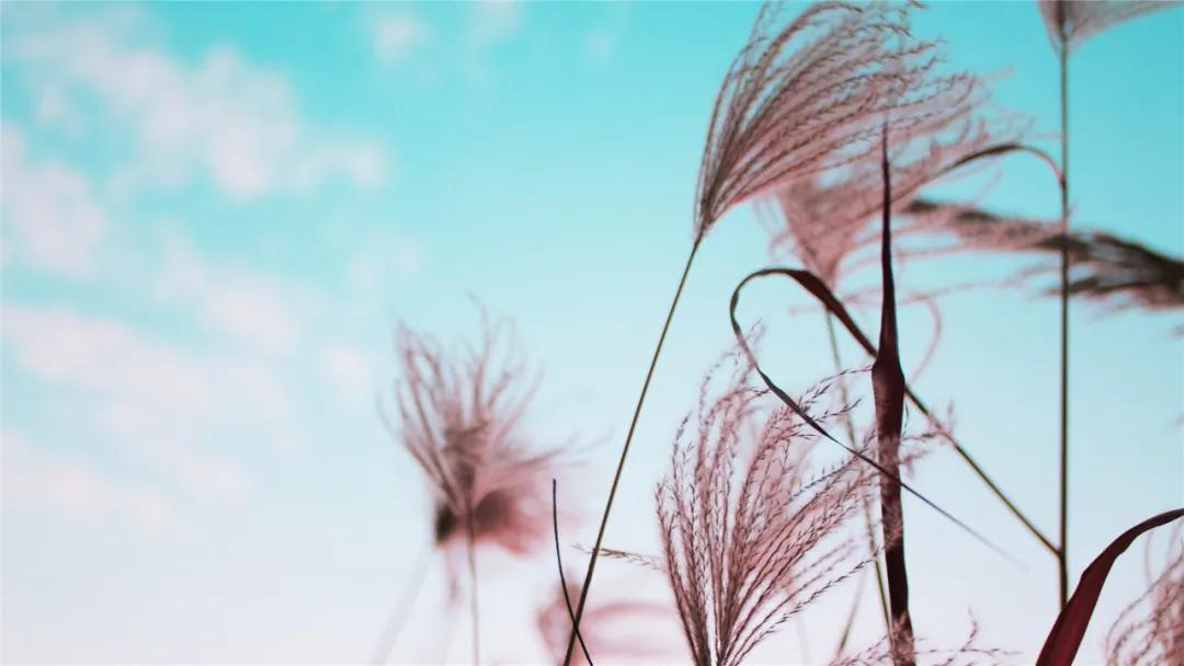 动动手指防痴呆,读读这些句子预防老年痴呆