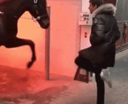 足球界的帅哥合集,足球坛十大帅哥