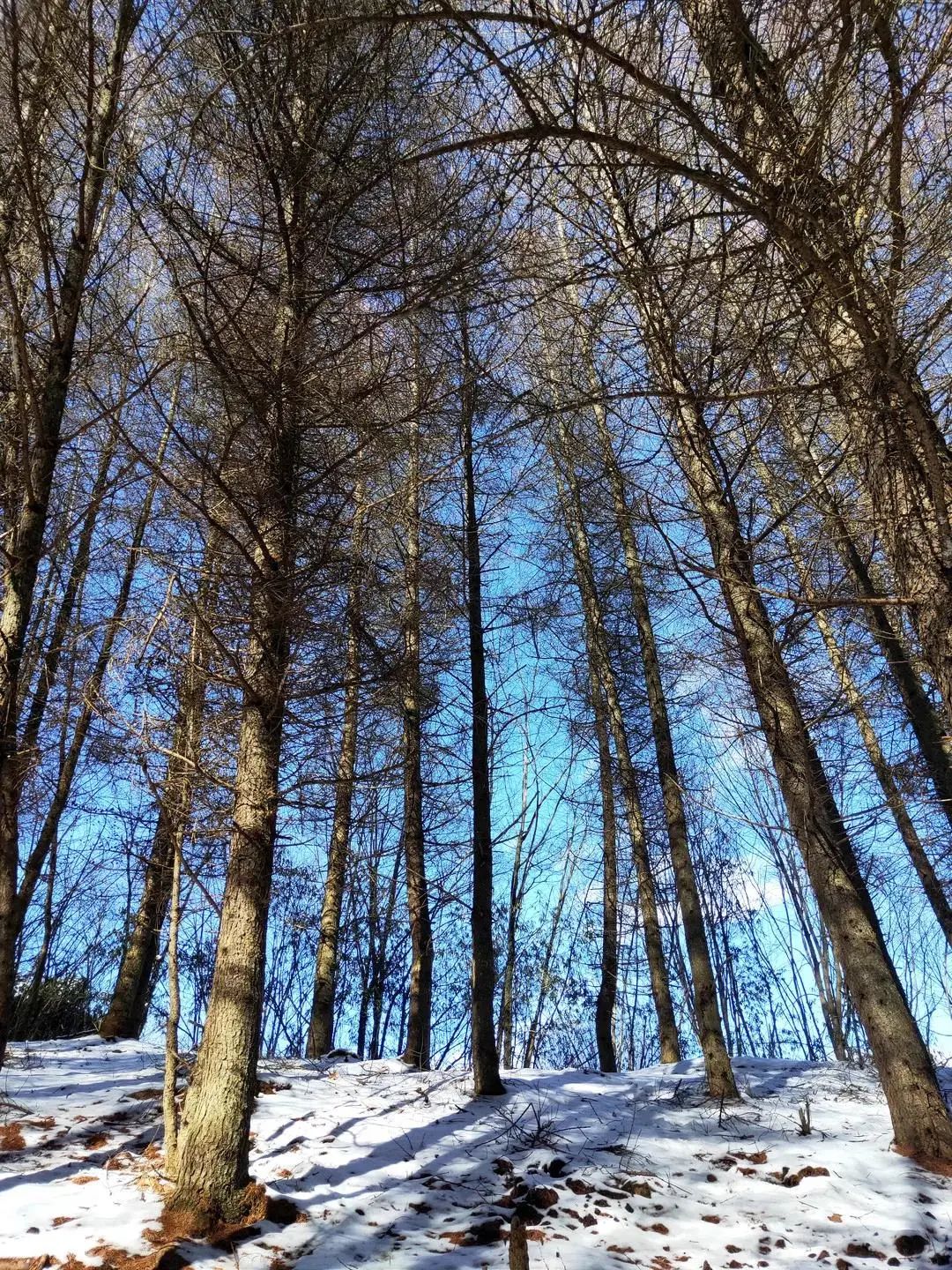 成都周边冰雪游攻略一日游推荐,成都周边冰雪旅游