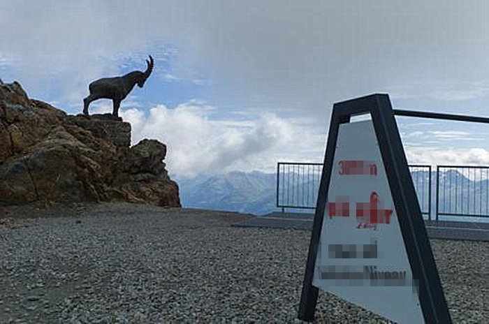 山羊走失了,山羊走失