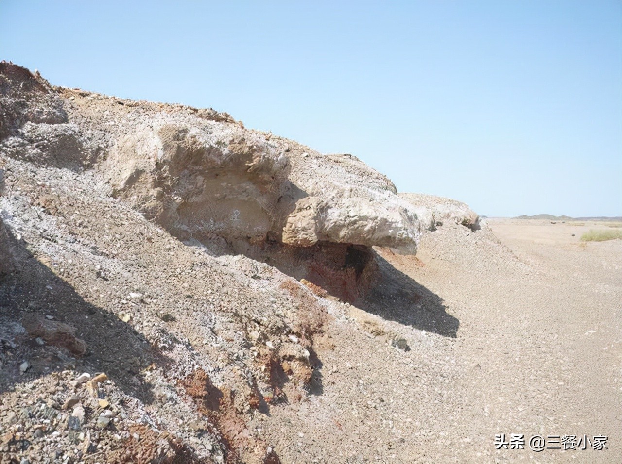 盐怎么买才健康,盐应该买什么样的
