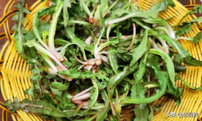 蒲公英做菜吃的方法,蒲公英怎样当菜吃