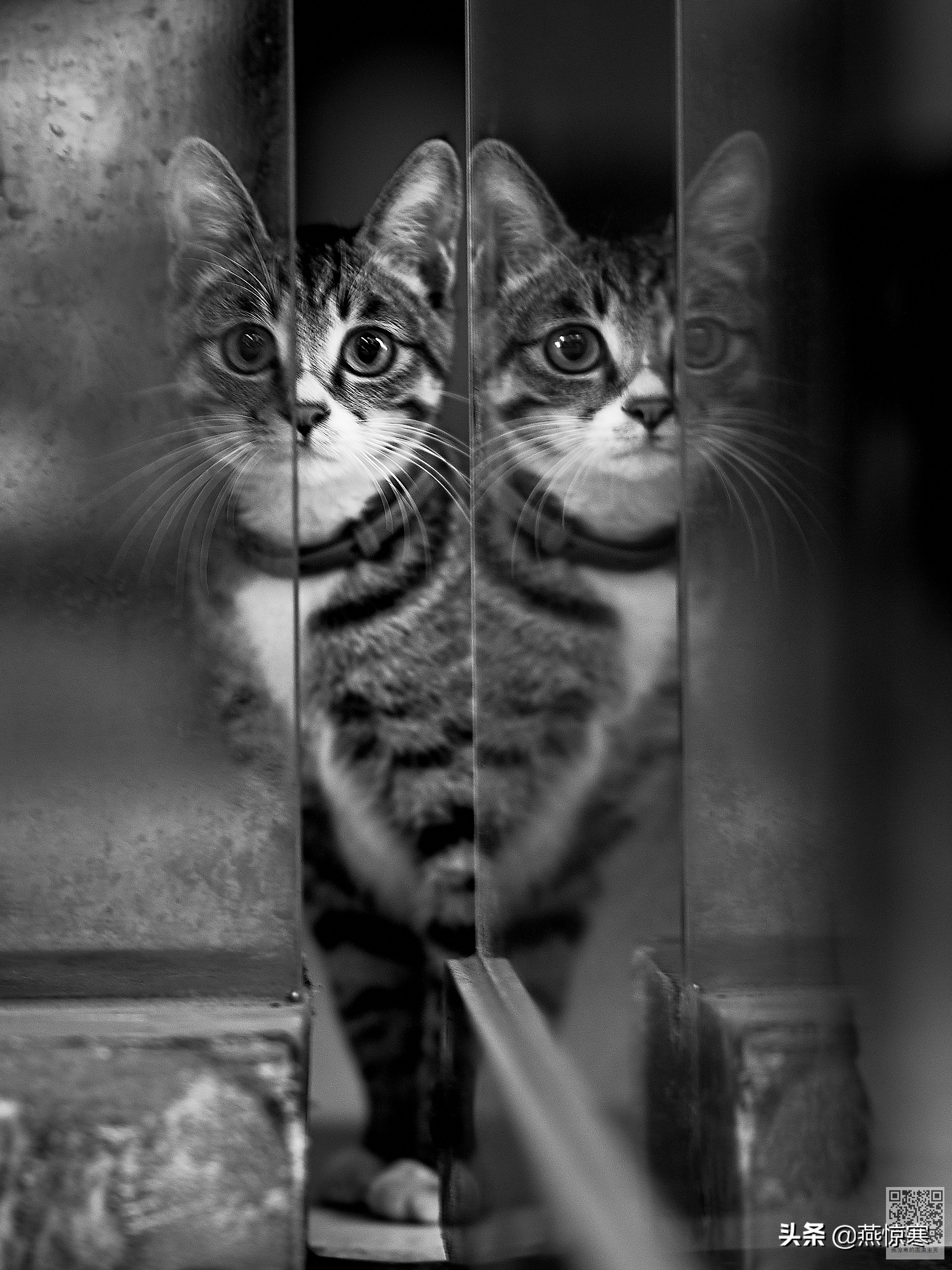 索尼除了24105还有哪些经典镜头,索尼40-2.5镜头评测