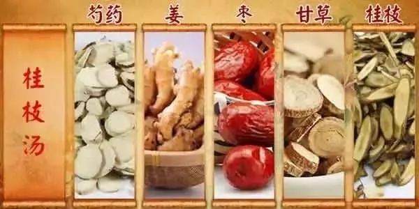 伤寒论里的桂枝汤主治什么病,伤寒论的桂枝汤